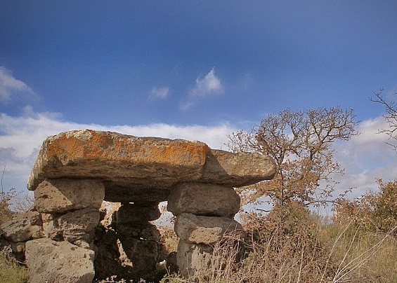 Immagine non trovata