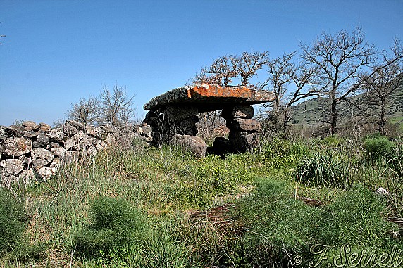 26707127277_b6198a955d_b