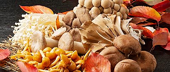 Funghi buoni e sicuri con l'Ispettorato micologico di Crema