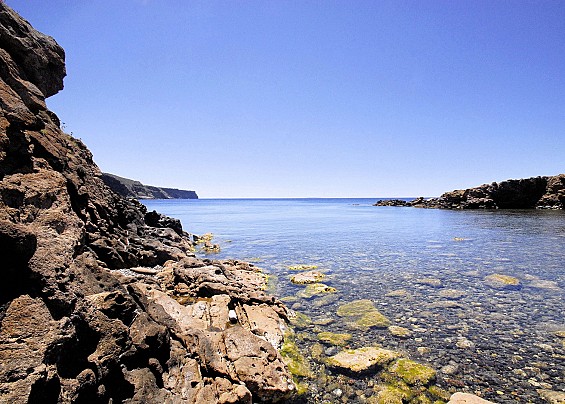 Immagine non trovata