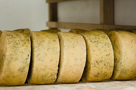 tipo-di-vista-frontale-di-rotoli-di-formaggio-al-chiuso