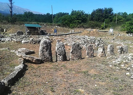 Immagine non trovata