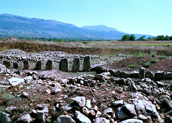 Immagine non trovata