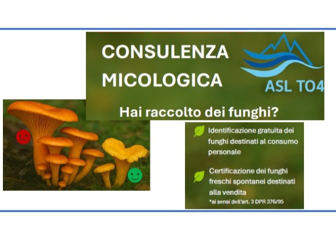 ASL TO4,                                                                                                                              Consulenza Micologica