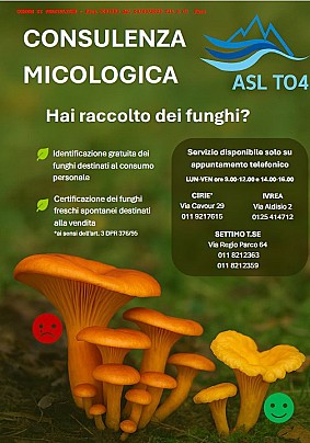 250909_ConsulenzaMicologica