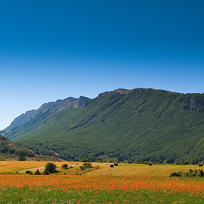 f7bfd783-511d-49fc-b4db-23f0e8f553a8-1-800x800