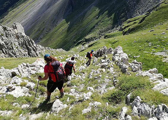 Immagine non trovata