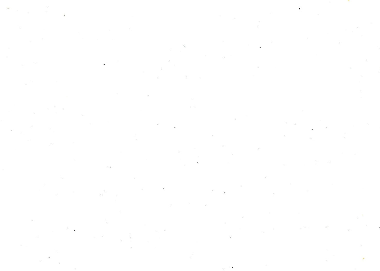 Immagine principale