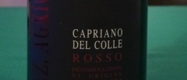 Immagine principale