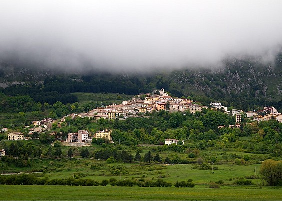 Immagine non trovata