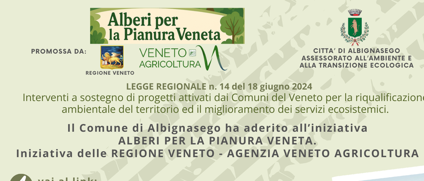 Immagine principale