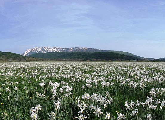 2faf195f9210aac3b7914a9c92d558f8