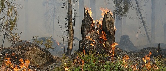 Proroga della fase di attenzione per gli incendi boschivi dal 15.09.2025 al 28.09.2025 compresi
