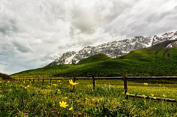 shutterstock_1091946728