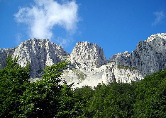 Immagine non trovata