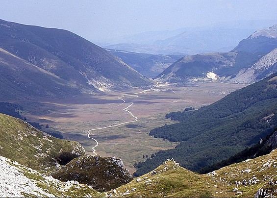 Immagine non trovata