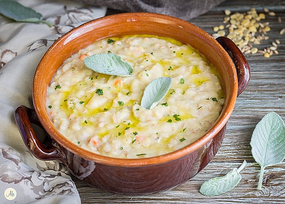 Immagine non trovata