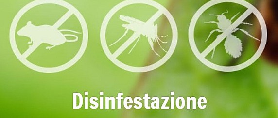 Avviso disinfestazione contro insetti alati