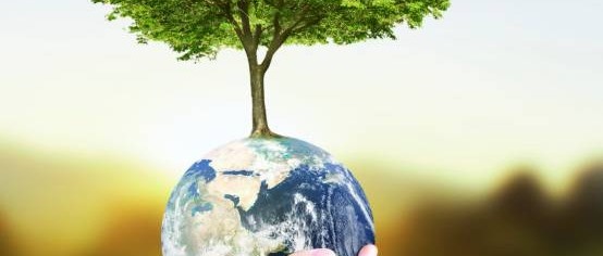 Area Ambiente e Attività Produttive