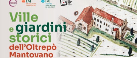 Immagine principale
