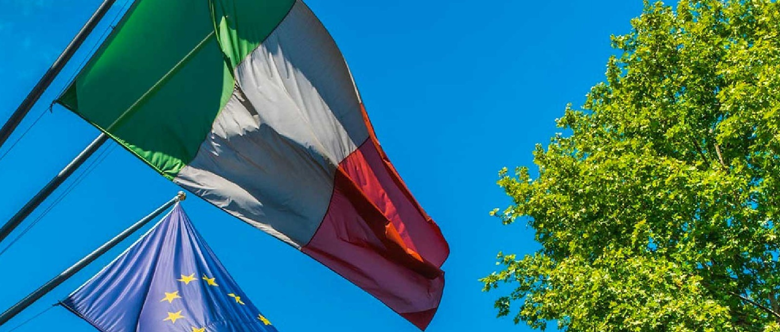 Immagine principale