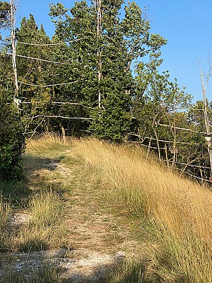 Riserva di caccia_