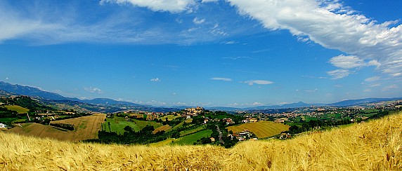 test documenti allegati