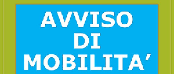 AVVISO ESPERIMENTO PROCEDURA DI MOBILITA’ VOLONTARIA AI SENSI DELL’ART. 30 D.LGS N. 165/2001 - “FUNZIONARIO&nbsp;TECNICO” – Area dei Funzionari e dell’Elevata Qualificazione – (ex Cat D) da assegnare all’Area&nbsp;Urbanistica e Edilizia