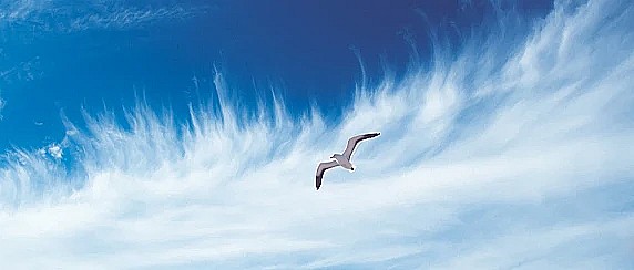 MISURE PER IL MIGLIORAMENTO DELLA QUALITA’ DELL’ARIA