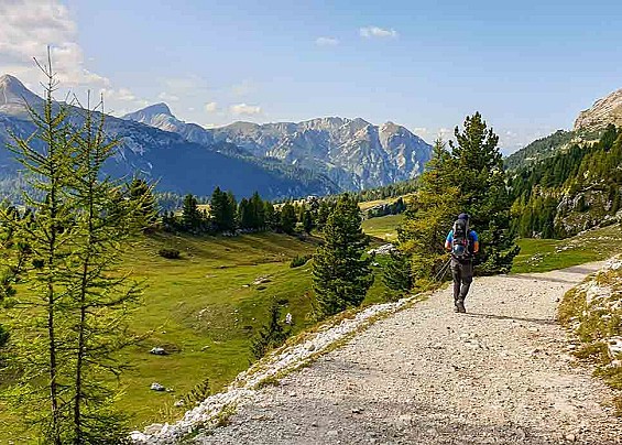 Immagine non trovata