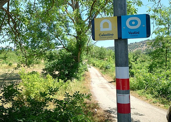 Immagine non trovata