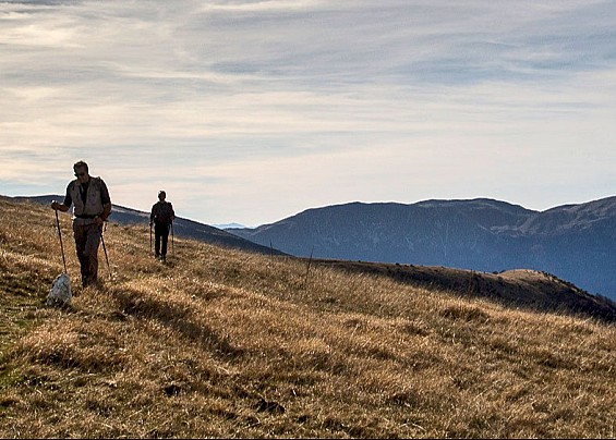 Immagine non trovata