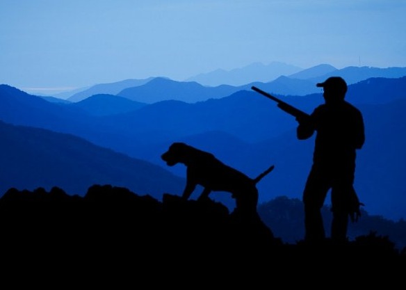 Immagine principale