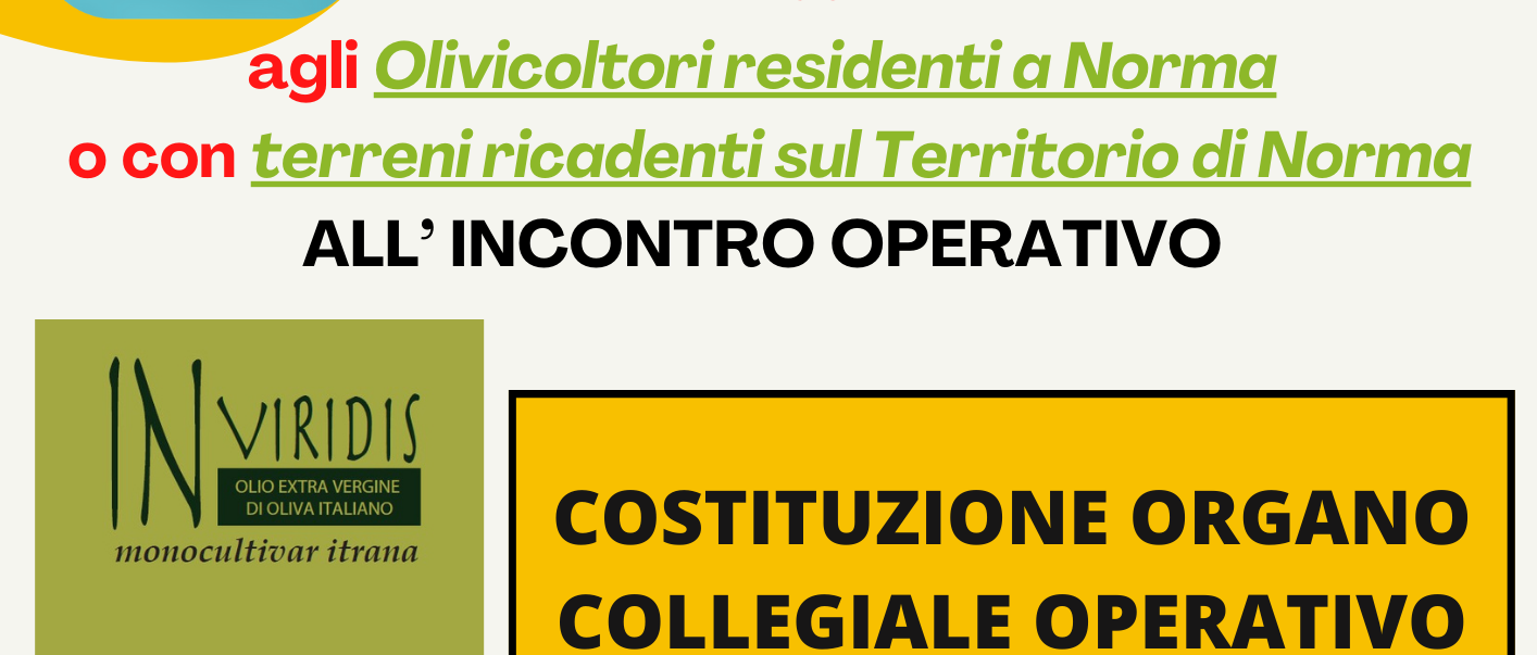 Incontro con gli Olivicoltori di Norma per la costituzione di un organo collegiale per il progetto "OLIO INVIRIDIS" campagna 2025/2026