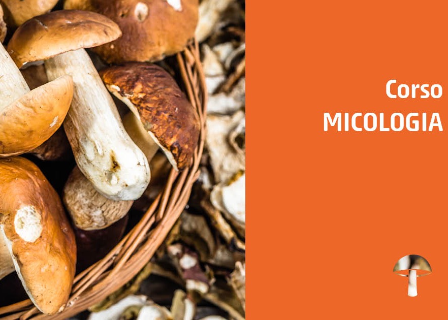 AVVISO PUBBLICO DI PARTECIPAZIONE CORSO DI MICOLOGIA FINALIZZATO AL RILASCIO DELL’ATTESTATO PER LA RACCOLTA FUNGHI EPIGEI