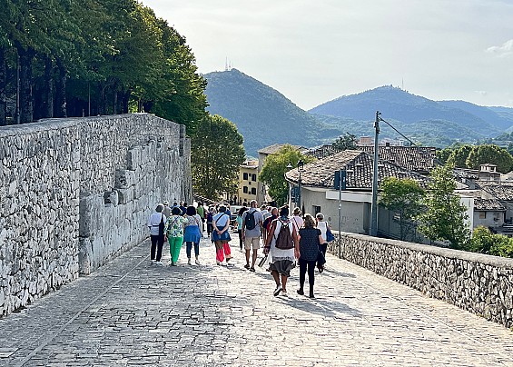 Immagine non trovata