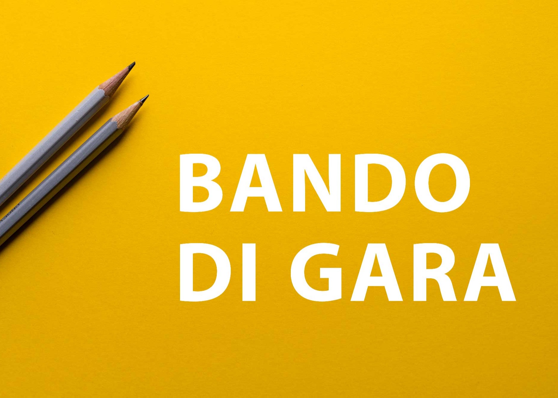 BANDO DI GARA PUBBLICA PER LACONCESSIONE DI FABBRICATI E AREE DEMANIALI AD USO RISTORANTE,CON PERTINENZE, E LIDO BALNEARE, IN COMUNE DI DESENZANO D/G,LOCALITA’ DESENZANINO