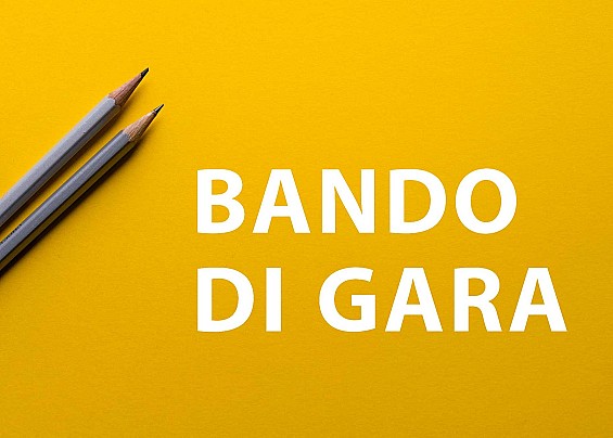 BANDO DI GARA PUBBLICA PER LACONCESSIONE DI FABBRICATI E AREE DEMANIALI AD USO RISTORANTE,CON PERTINENZE, E LIDO BALNEARE, IN COMUNE DI DESENZANO D/G,LOCALITA’ DESENZANINO