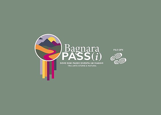 Immagine non trovata