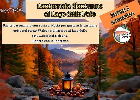 Immagine non trovata
