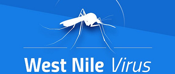Virus West Nile