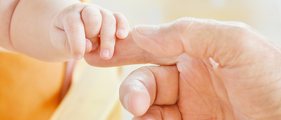 Immagine principale