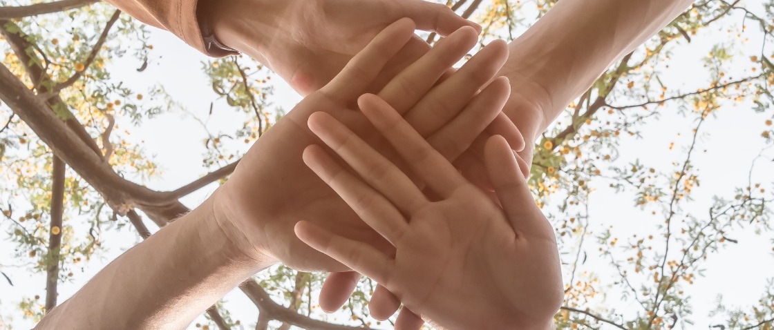 Immagine principale