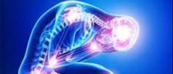 la legge regionale 18 gennaio 2019, n. 5, (Disposizioni per il riconoscimento, la diagnosi e la cura della fibromialgia annualità 2025-RIAPERTURA TERMINI DI PRESENTAZIONE ISTANZE