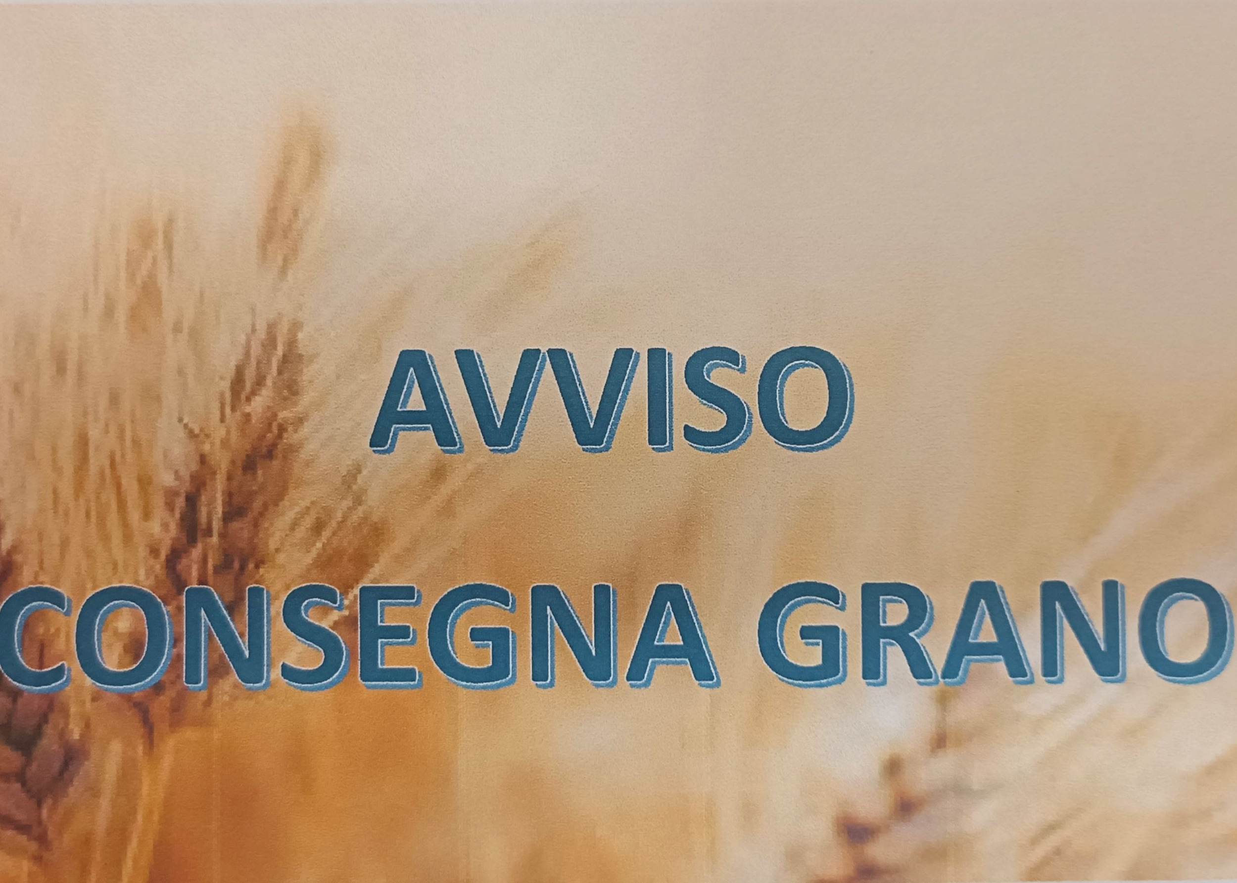 Consegna grano e buoni anno 2025