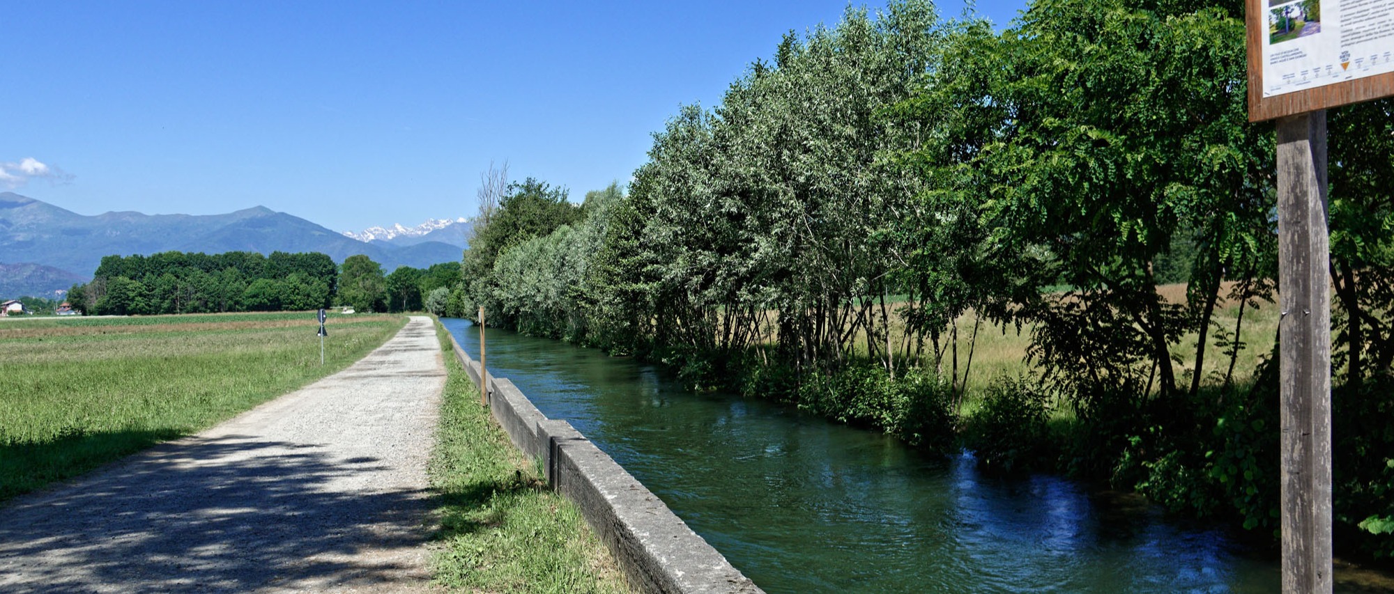 Immagine principale