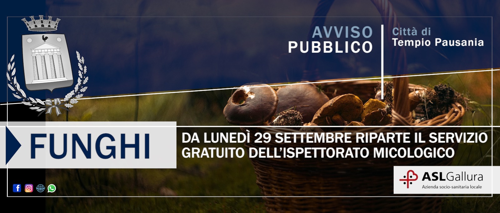 Immagine principale