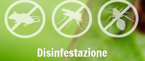 Avviso disinfestazione contro insetti alati