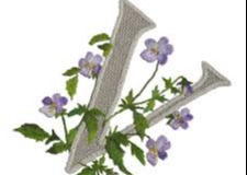 Il Museo del Ricamo resterà chiuso fino al 30/10/2025 per un progetto di digitalizzazione delle opere.