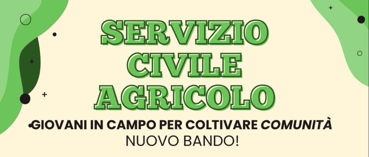 Immagine principale